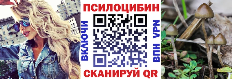 Купить закладки  Духовщина  Галлюциногенные грибы мицелий 